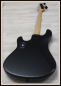 Preview: Sandberg California II Central 4 Ebony, Open Pore Black